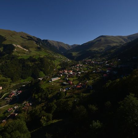 Hamsikoey Seyirtepe Butik Otel Hamsikoy Buitenkant foto